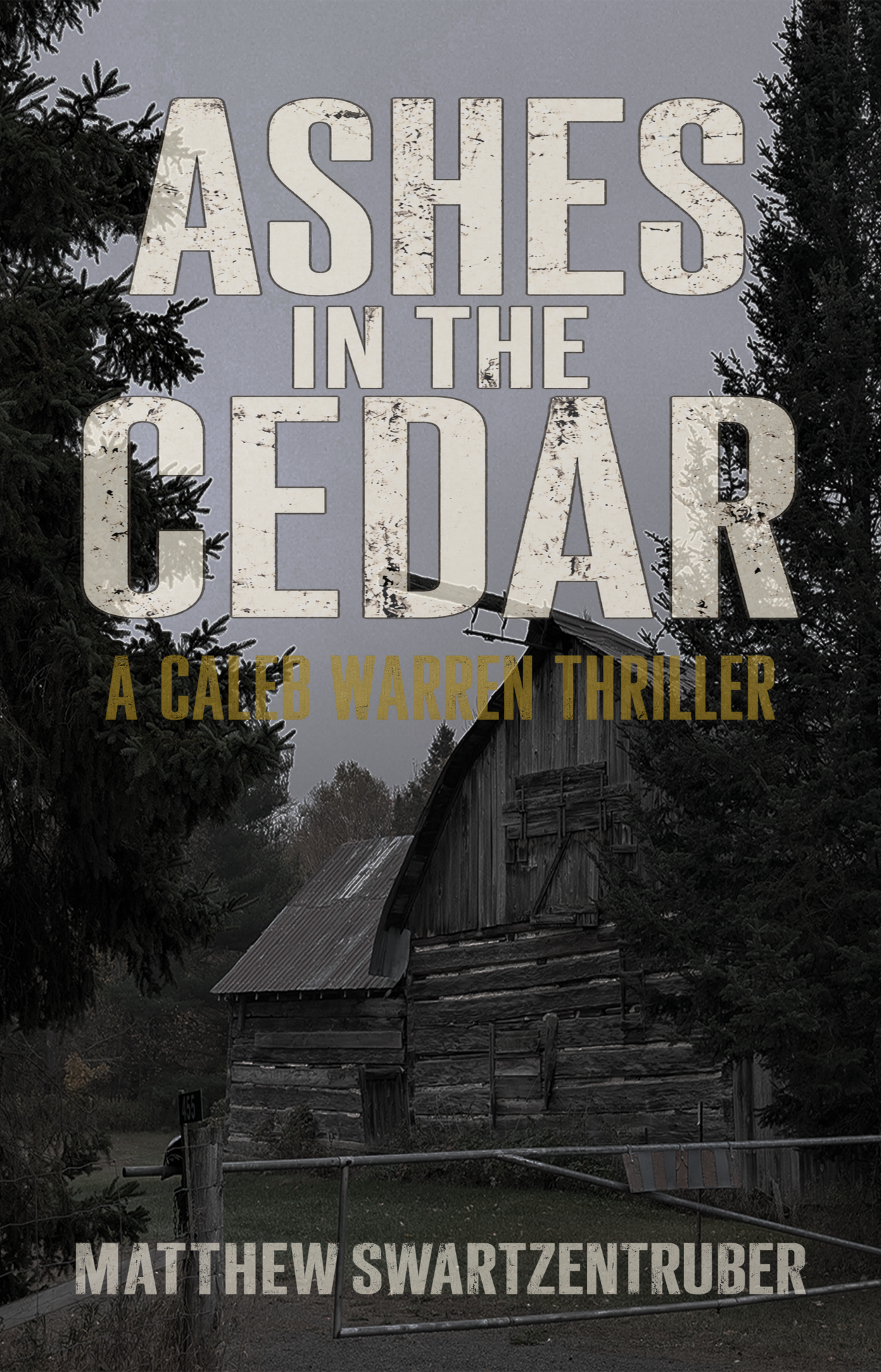 Ashes in the Cedar cover